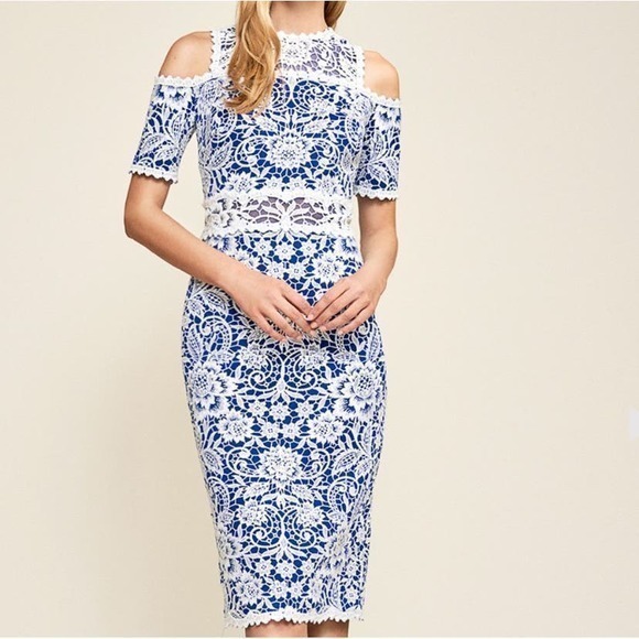 Tadashi Shoji Tegan Floret Lace Mid Length Dress Womens‎ 8 Blue White NWT